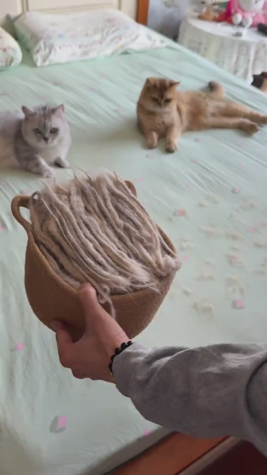 Charger la vidéo : 